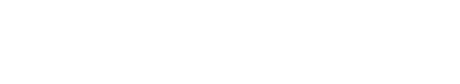 Metro Mayor, Liverpool City Region